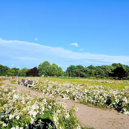 Seaside&park